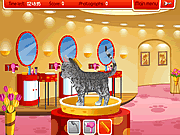 Giochi di Animali Domestici - Petz Fashion